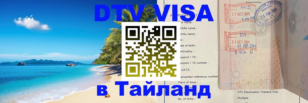 Оформление DTV визы под ключ: стоимость и тарифы, только загранпаспорт - 